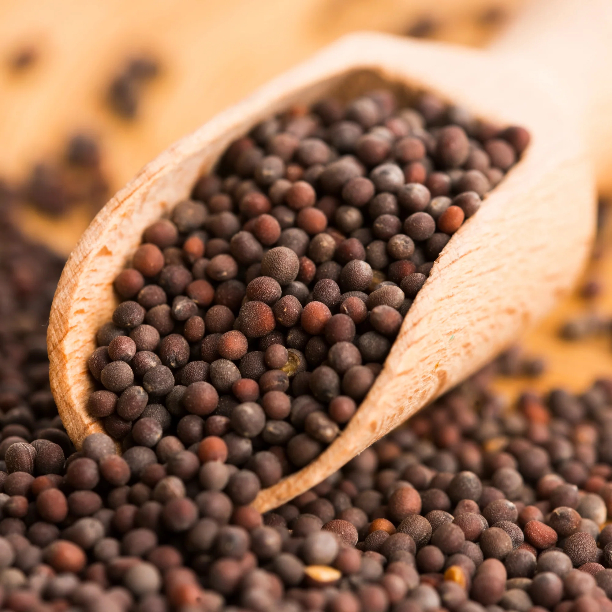 Spices